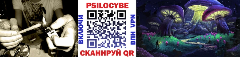 Псилоцибиновые грибы Cubensis  Курлово 